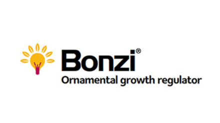 Bonzi