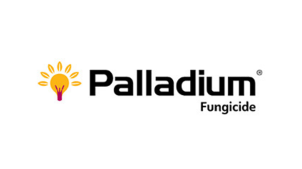 570x320_sierteelt_producten_Paladium.png