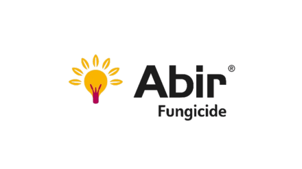570x320_sierteelt_producten_Abir png