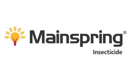 570x320_sierteelt_producten_Mainspring.png