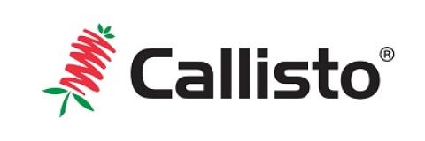 1496753244979259025-Callisto logo 400x135.jpg