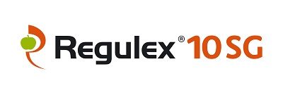 1496907303073080143-Regulex logo 400x135.jpg