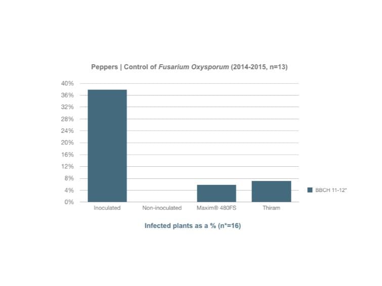 FarMore | ENG | Peppers 003