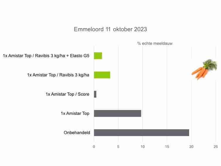 Effect van Ravibis op echte meeldauw in wortel