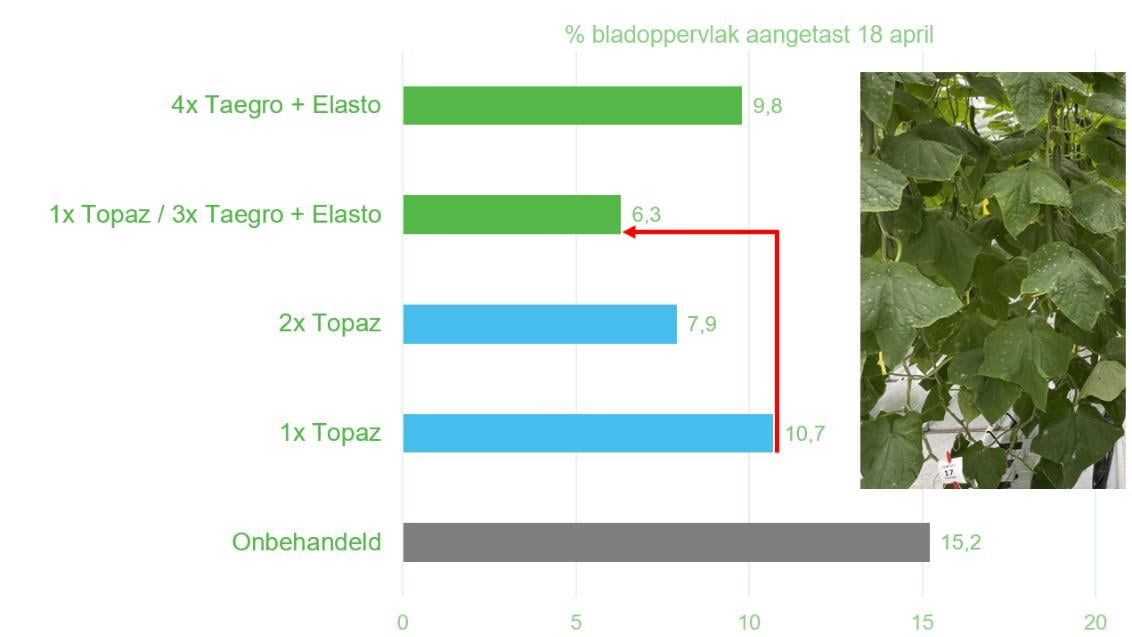 Taegro proefresultaten