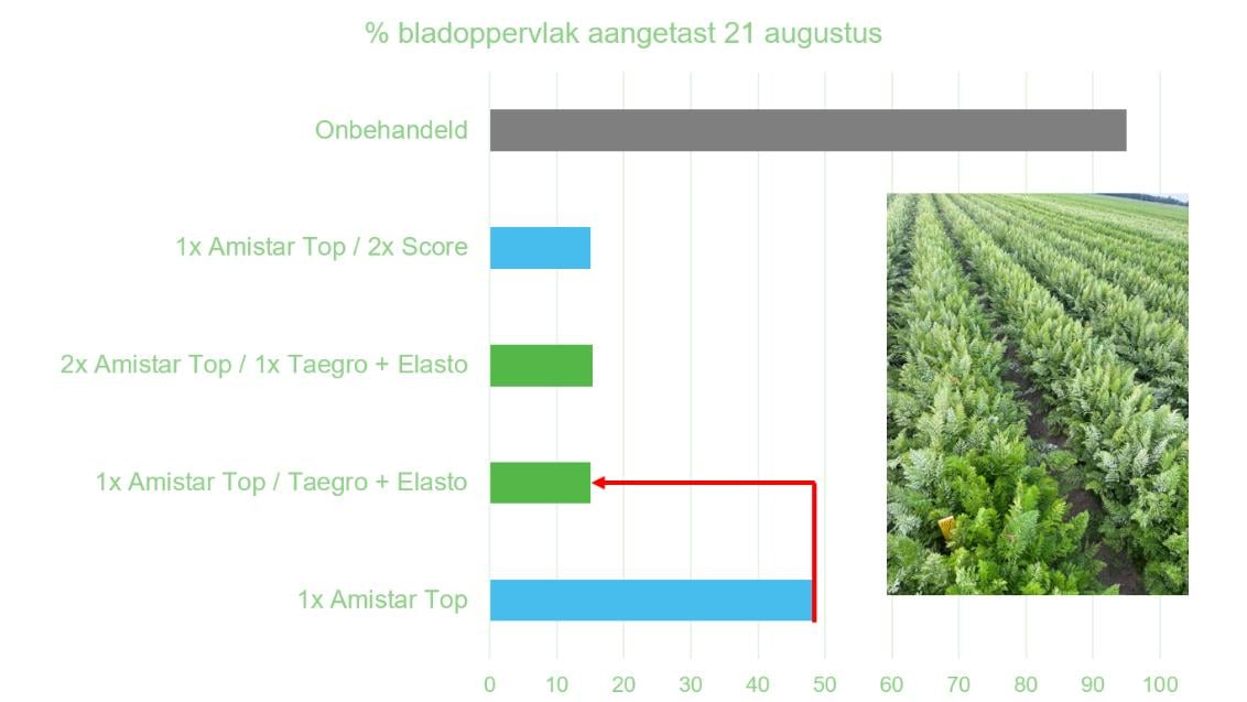 Proefresultaten Taegro 