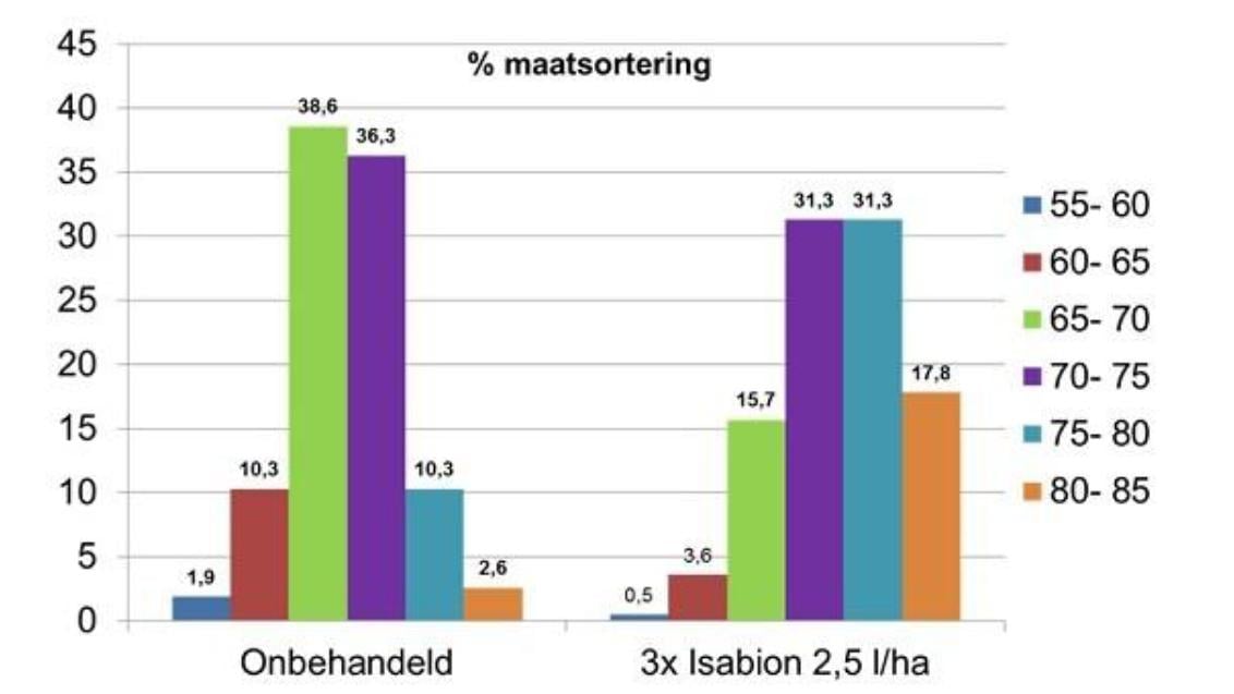 Verbetering vruchtzetting Isabion 002