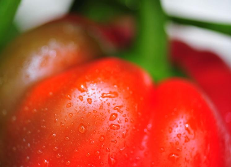 Rode paprika