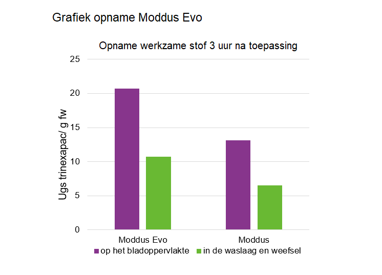 Moddus Evo opname werkzame stof in blad 