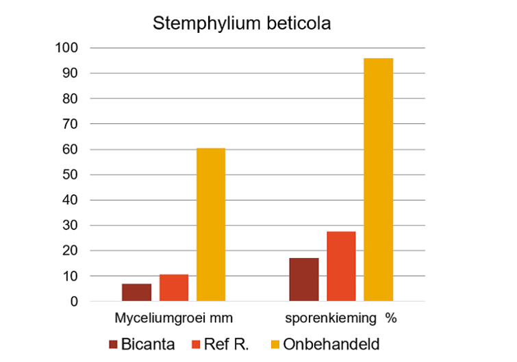 Stemphylium in bieten bestrijden met Bicanta
