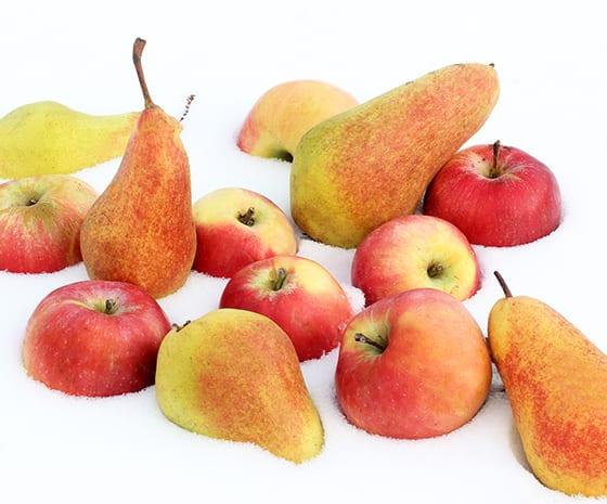 Appel en peer vorst