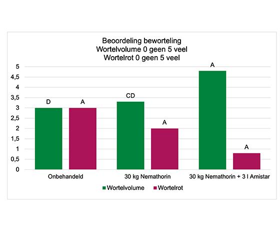 Grafiek 1 beoordeling beworteling 