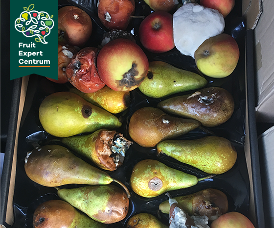 Fruit Expert Centrum Bewaarziekten
