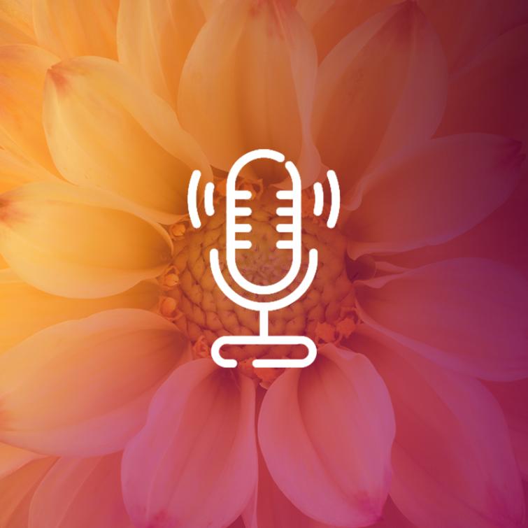 Podcasts Expert Center NL