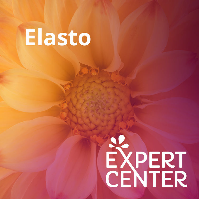 Expert Center NL Elasto