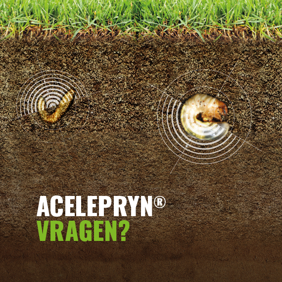 Acelepryn vragen