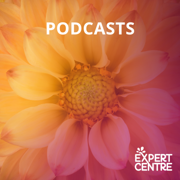 Podcasts