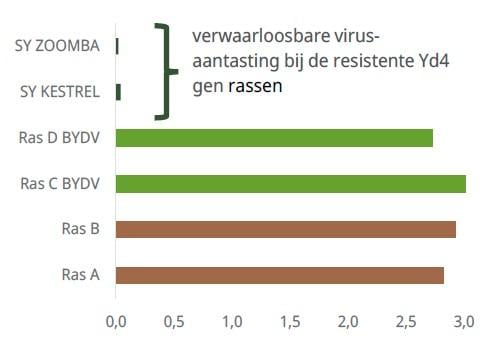 Syngenta voerde twee jaar dezelfde test van virale belasting uit en toonde verwaarloosbare vermenigvuldiging in Yd4 (=resistente) producten aan.