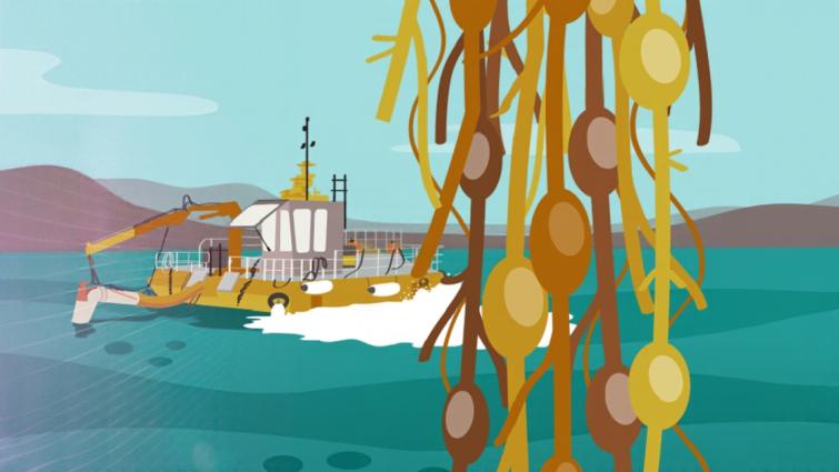 Illustratie van een boot op zee met rotsen en hangend zeewier op de voorgrond