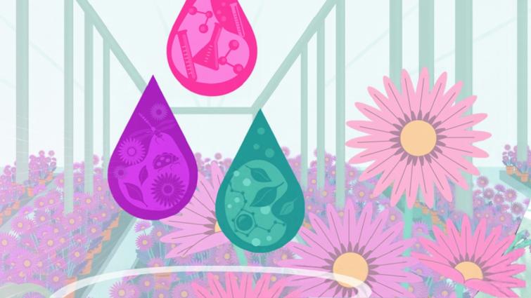 Grafische regen­druppels met bloemmotieven boven roze margrieten in pastelkleuren