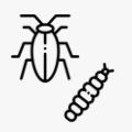 Minecto One Insecten