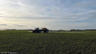 Onkruidbestrijding in graan