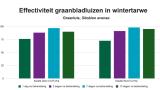 Effectiviteit graanbladluizen in wintertarweOp graanluis is Karate® Next vergelijkbaar qua effectiviteit als Karate Zeon.