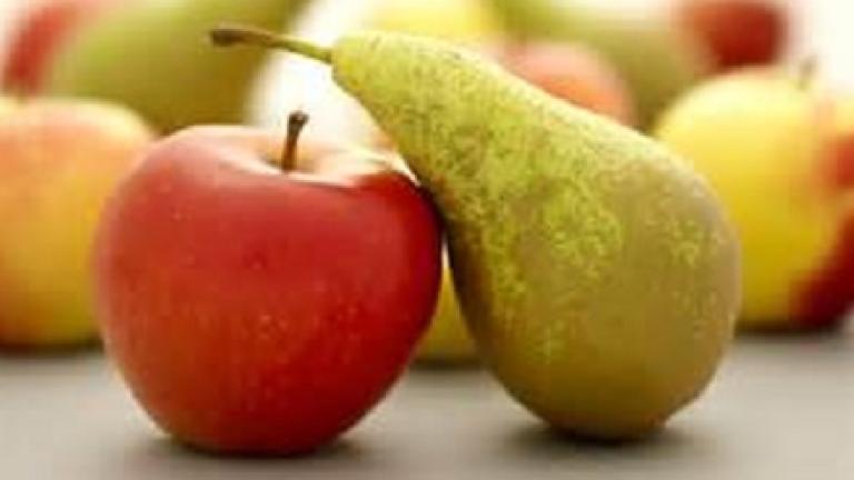 Hier vindt u meer info over de fruitteelt waar Syngenta gewasbescherming voor aanbied.