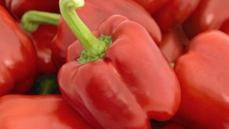 Paprika