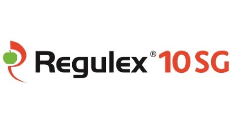 Regulex 10SG