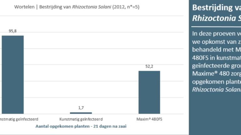Grafiek wortelen 2.0
