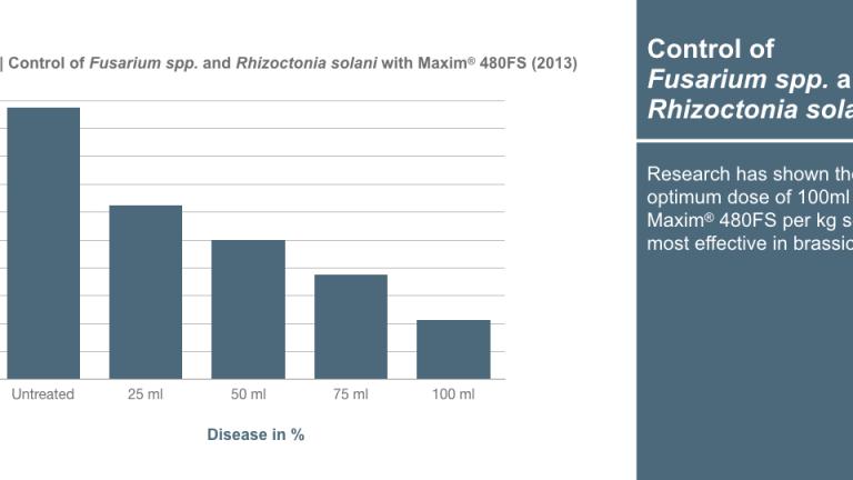 Graph_1240x540_en_brassicas_003