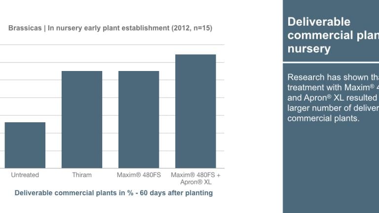 Graph_1240x540_en_brassicas_006