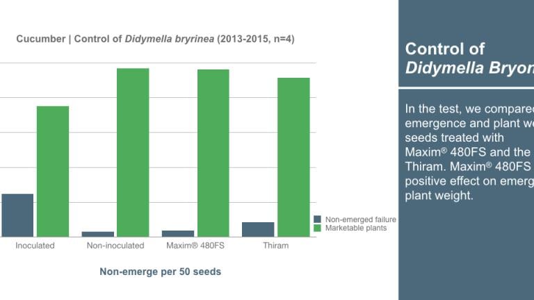 Graph_1240x540_en_cucumber_003