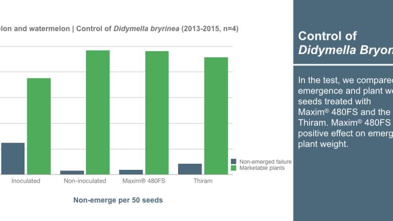 Graph_1240x540_en_melon_watermelon_003