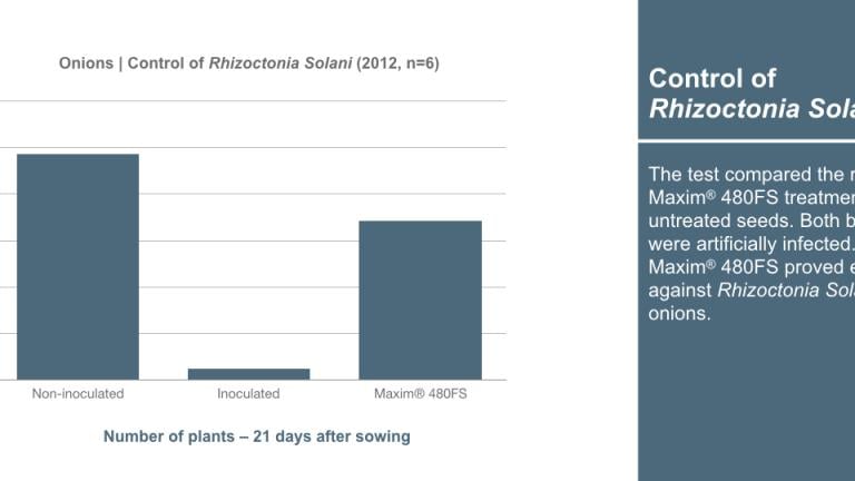 Graph_1240x540_en_onions_006