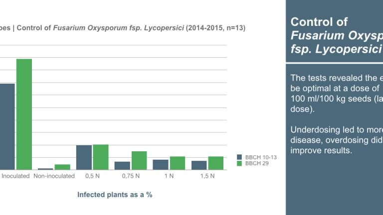 Graph_1240x540_en_tomatoes_001