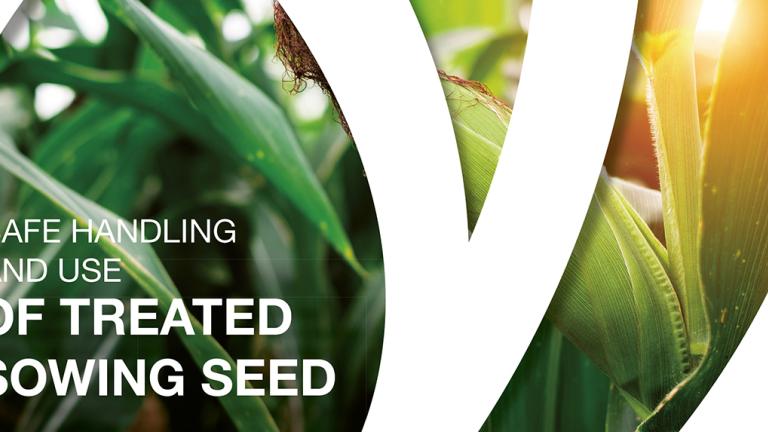 Header seedcare safety UK