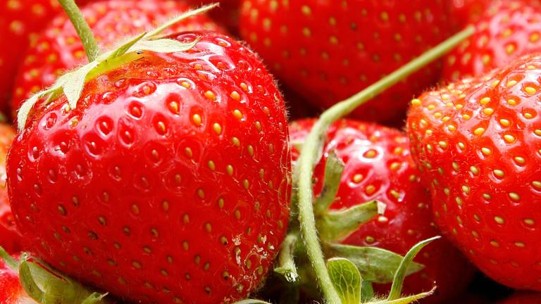 Aardbei