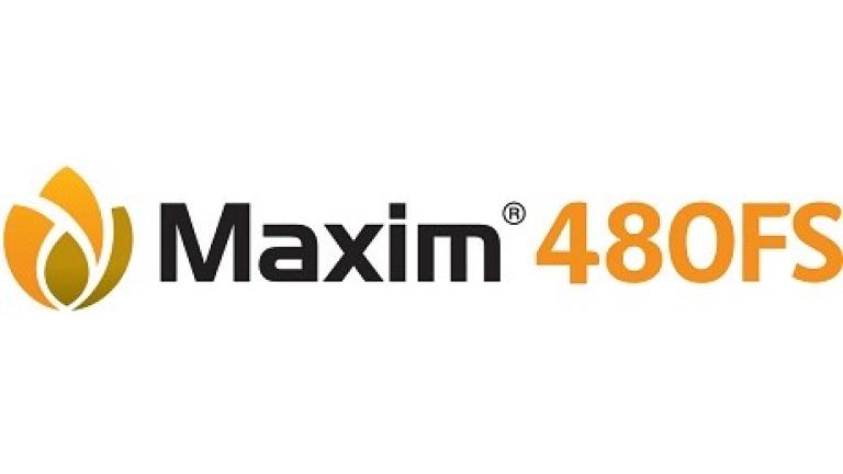 Maxim