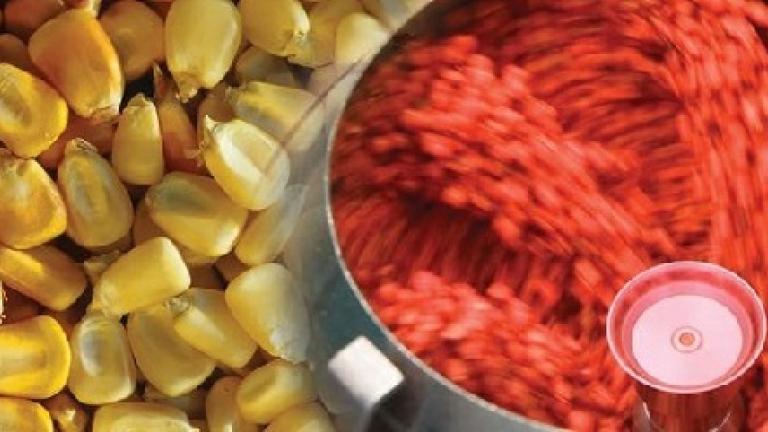 Corn zaadontsmetting