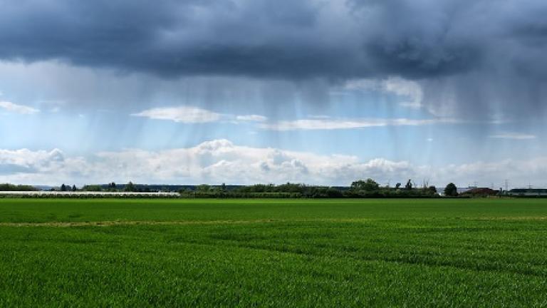 Syngenta weer
