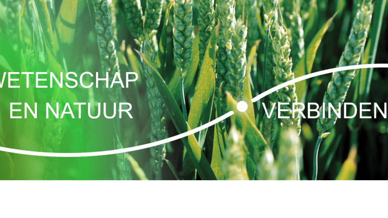 Syngenta Biologicals