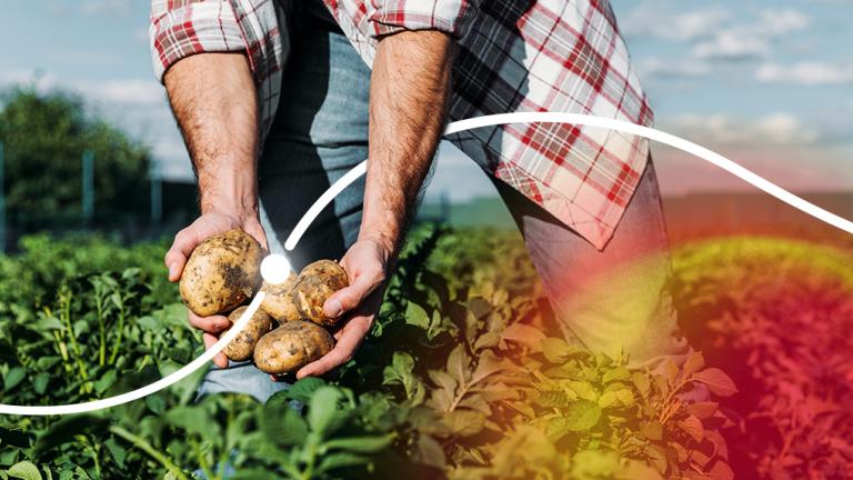 Biostimulant Quantis