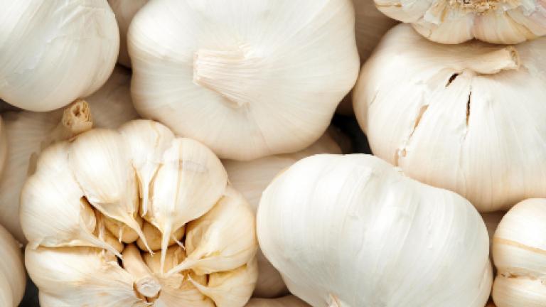 Knoflook