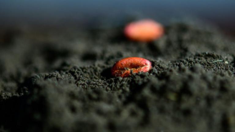 Seedcare