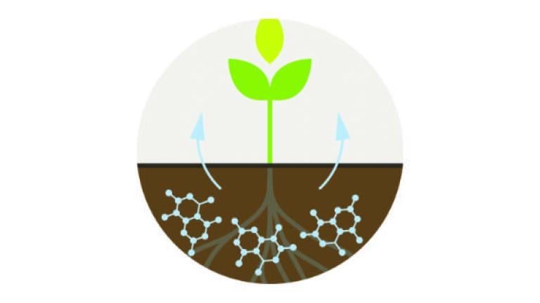 Syngenta Seedcare Biologicals