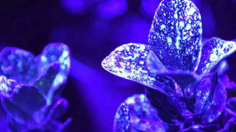 Spuitproef met uv licht