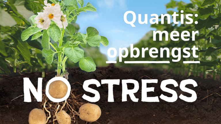 No Stress