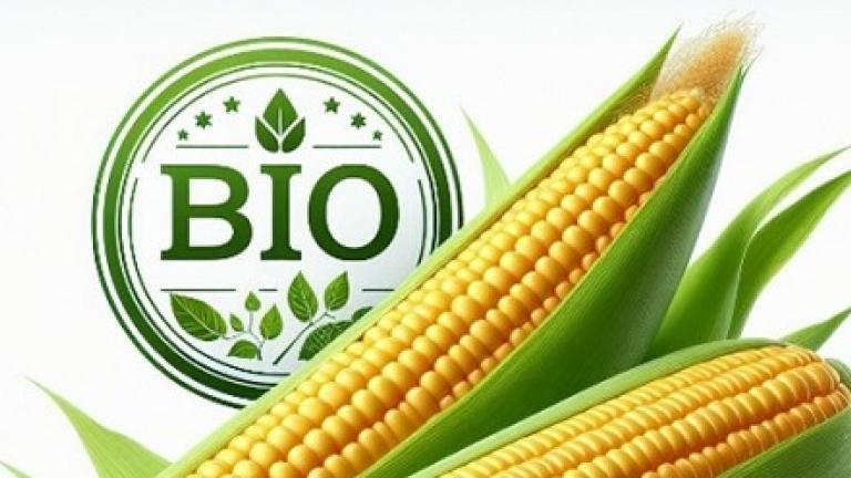 De biologische maïsrassen die Syngenta Seeds aanbiedt, hebben zich al uitgebreid bewezen in de conventionele landbouw en officiële (Benelux) rassenproeven, en zijn een garantie voor het beste resultaat. 